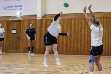 Bild 149 - F TSV Ellerau - HSG Tills Loewen 08 : Ergebnis: 16:18